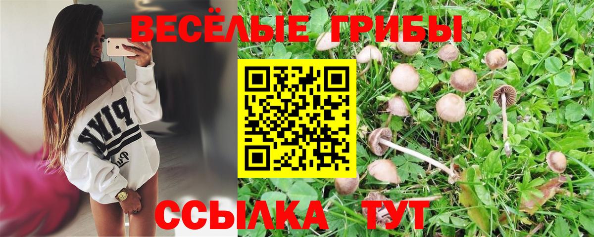 Белогорск  Галлюциногенные грибы мицелий  наркотики  Вход с VPN  Галлюциногенные грибы прущие грибы 